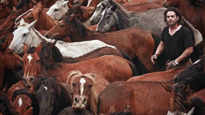 Hombre entre caballos salvajes.