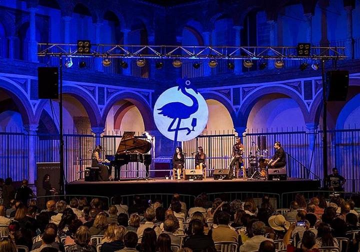 Concierto flamenco nocturno.