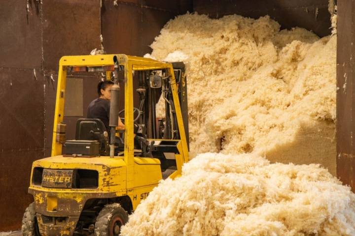 Así manipulan la gran cantidad de lana con la que trabajan.