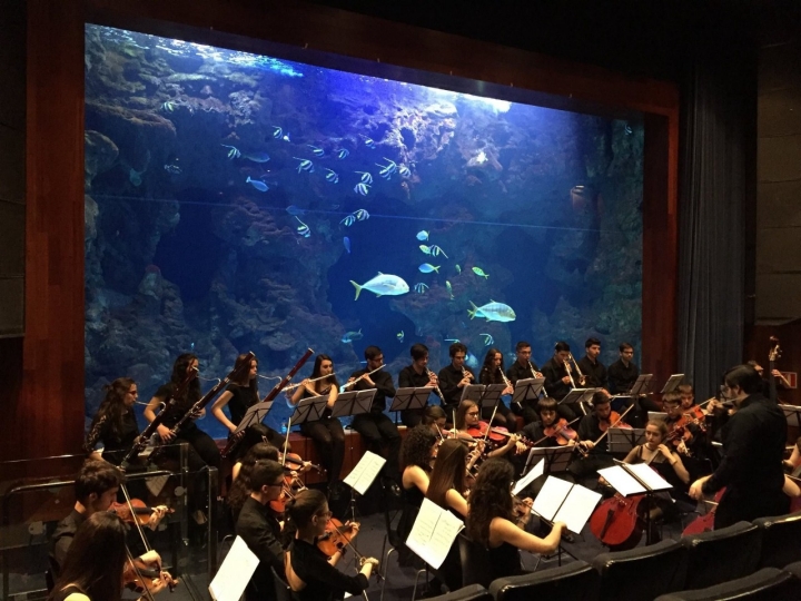 El Palacio del Mar también inunda los oidos al convertirse en escenario de conciertos