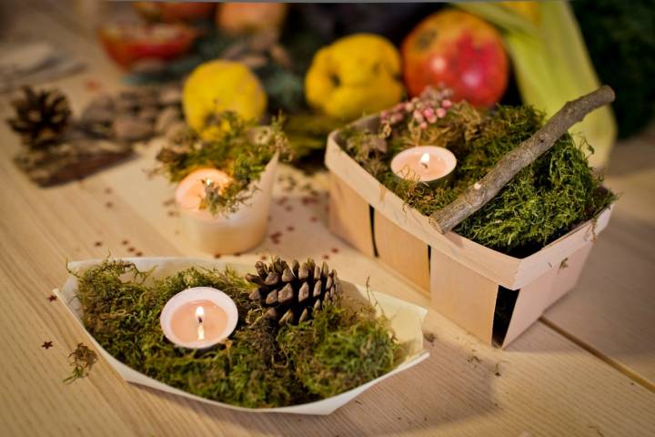 En el parque puedes recoger hojas caídas, trozos de madera o tallos de plantas que servirán para decorar tu mesa.