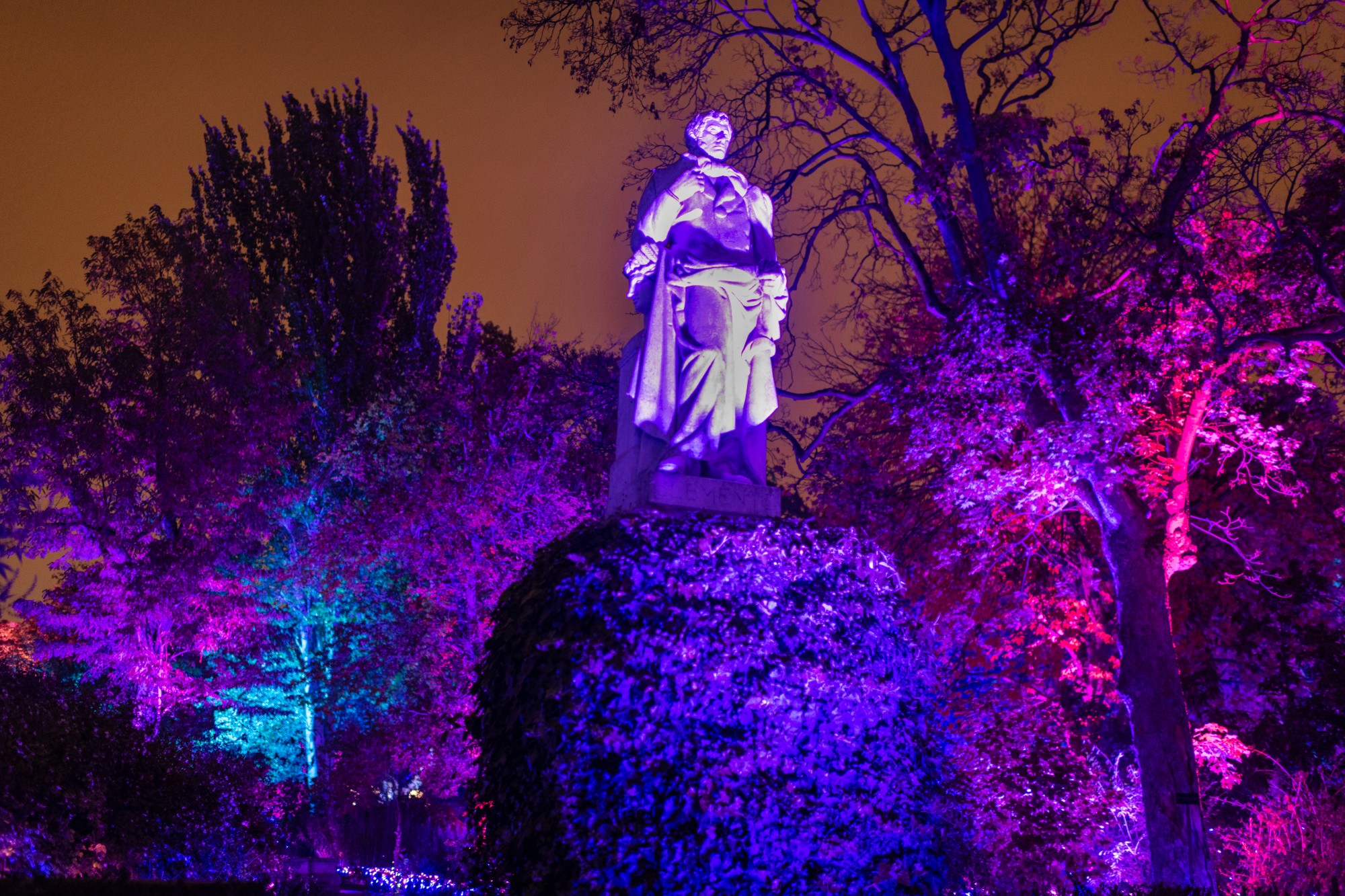 Encendido luces navidad Botánico de Madrid