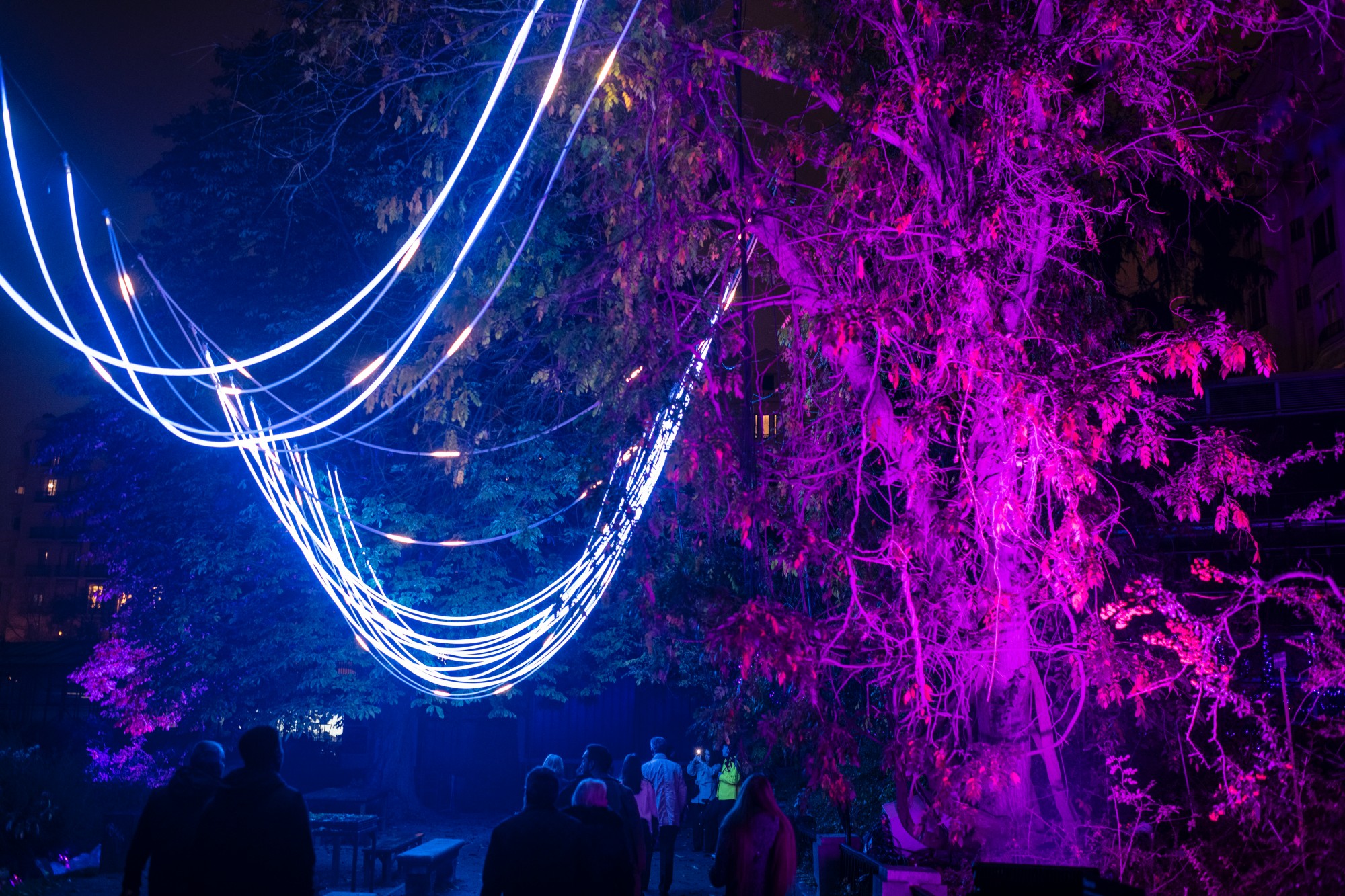 Encendido luces navidad Botánico de Madrid