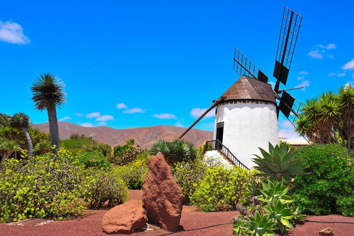 Unamuno cambio la fama de la isla canaria. Foto: Shutterstock