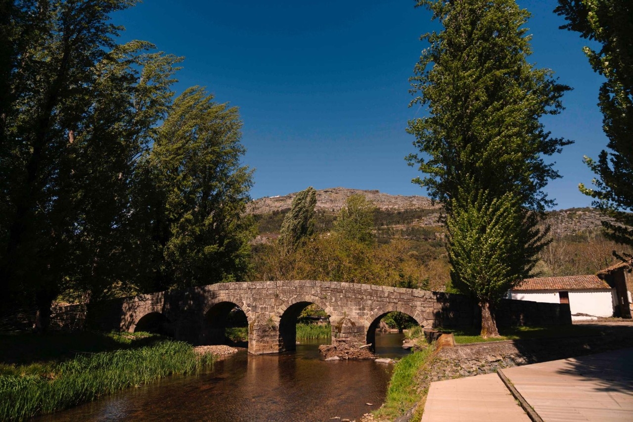 La paz que estabas buscando