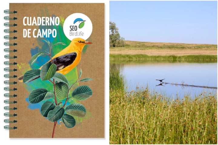 Cuaderno de campo y lagunas de Villafáfila.