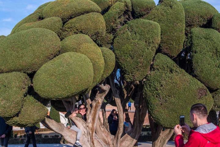 Los árboles esculturas del Parterre a menudo recuerdan que detrás hay artistas trabajándolos.