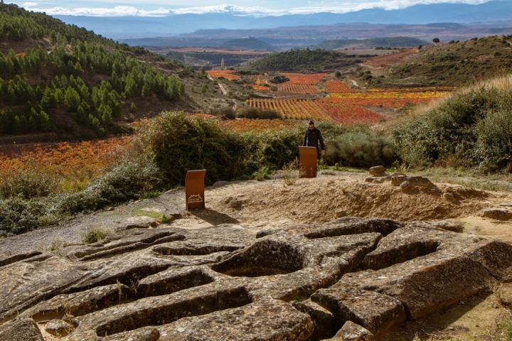 Necrópolis altomedieval con tumbas antropomórficas junto a la ermita de Santa María de la Piscina.