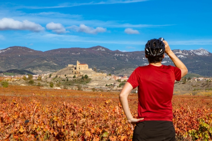 Llegando a San Vicente de la Sonsierra desde Briones (etapa 13.1).