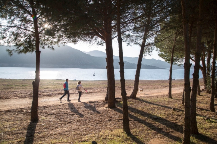 Entre los pinares junto al pantano, turistas y locales pasean relajadamente.