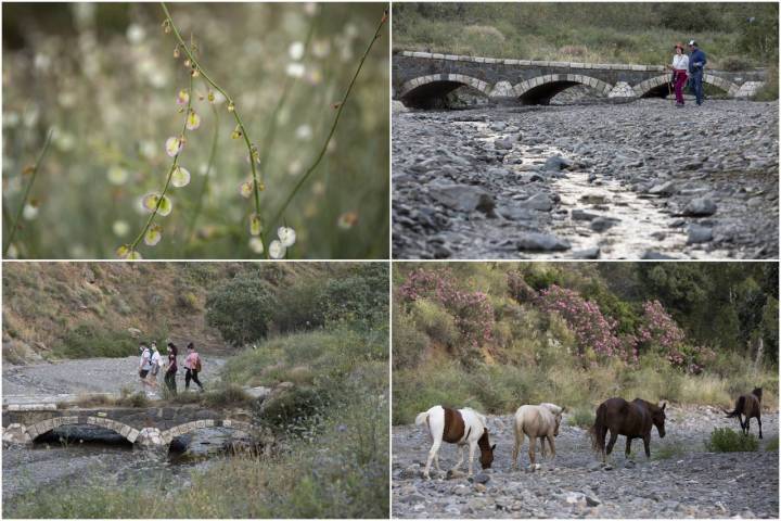 El Arroyo Jaboneros se encuentra cerca de la ciudad de Málaga.