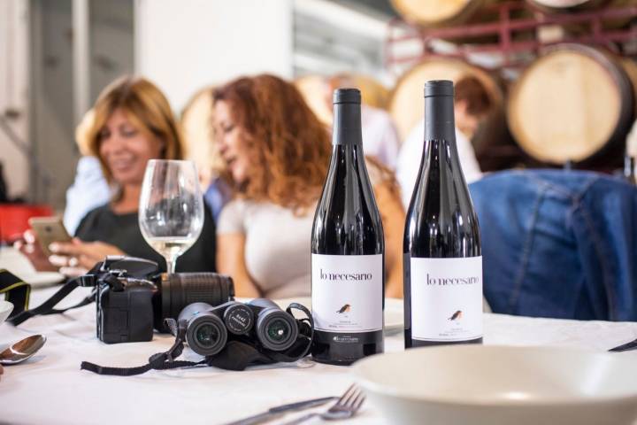 Relax tras la cata de vinos y la comida en la bodega de Fernández Pons en Casas del Rey.