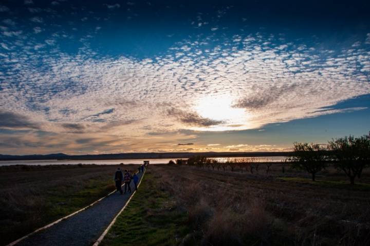 Avistamiento de grullas en Gallocanta: camino al observatorio de los Aguanares