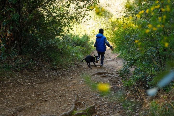 Uno de los tramos del camino de la ruta de los baños de Popea.
