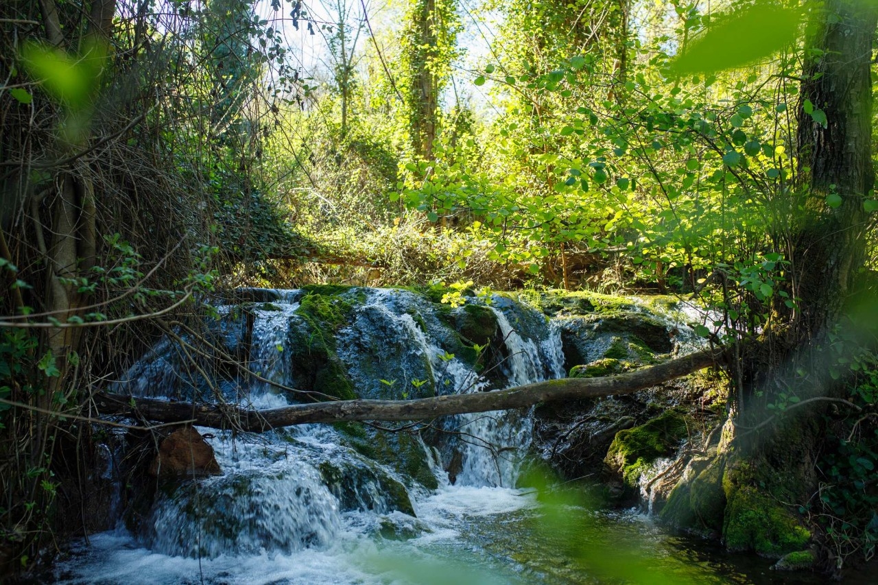 Cascada de la ruta de los Baños de Popea.