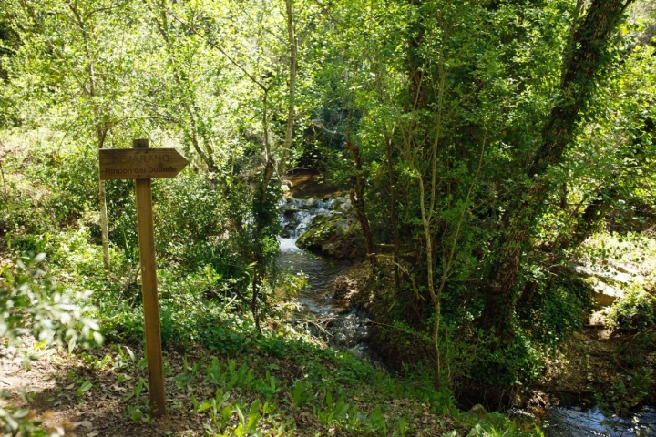 En el camino, letrero que lleva al rincón del duente.