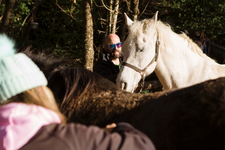 Un hombre cepilla un caballo blanco