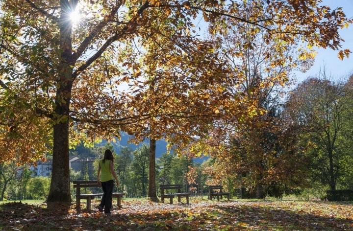 Mujer paseando por un bosque en Navarra. Foto: Shutterstock