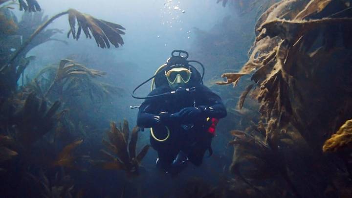 Buceo en Asturias buceador en bosque