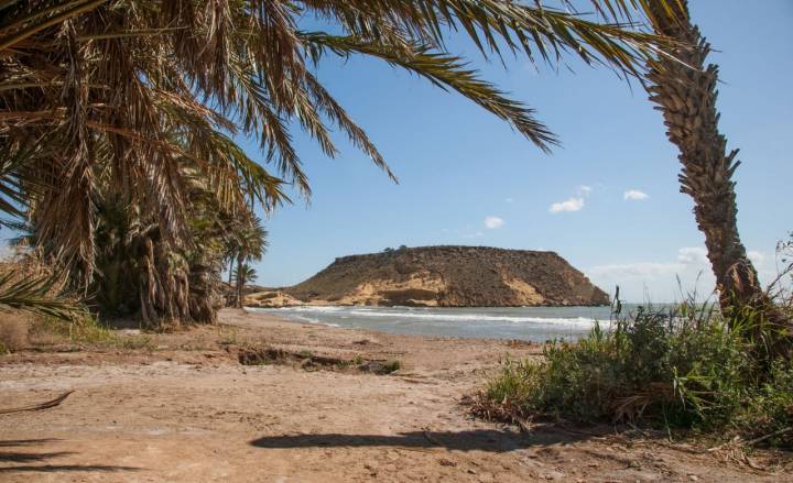 Destaca su frondoso palmeral que le da nombre y que crece en la orilla.