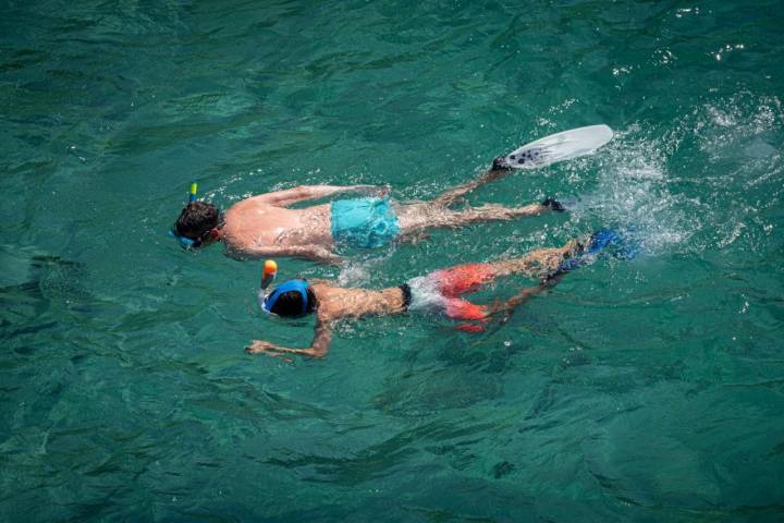 Calas de L'Ametlla de Mar (Tarragona): buceo en Cala Calafató