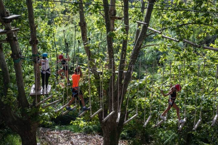 Camí del Riu: niños en las tirolinas y sobre el puente colgante de Les Deus Aventura