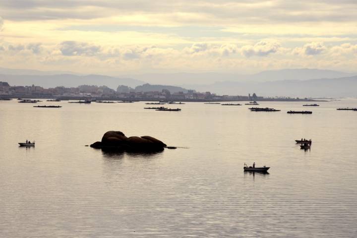 Ría Arousa