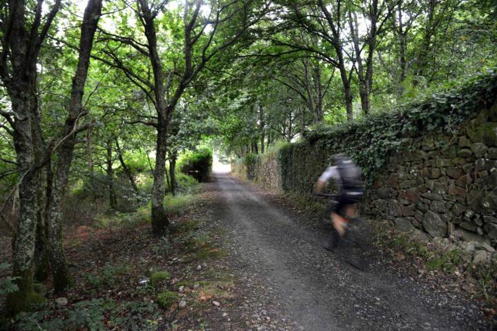 Ciclista Camino Santiago