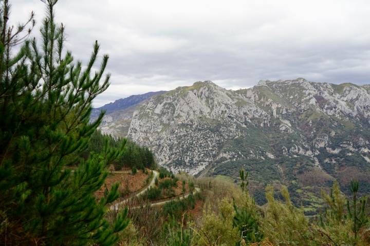 Camino Medieval Bandujo