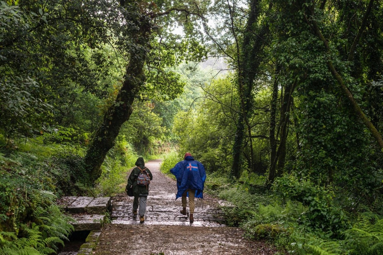 Camino Portugués por la Costa (Tramo 3): camino por Alba (apertura)