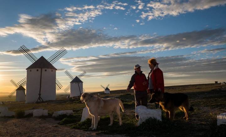 Dos personas con sus perros paseando con los molinos de fondo.