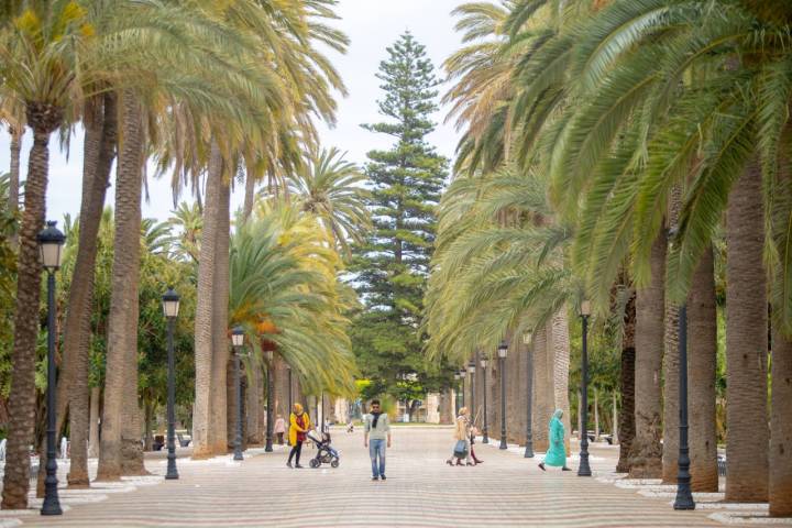 parque hernandez melilla