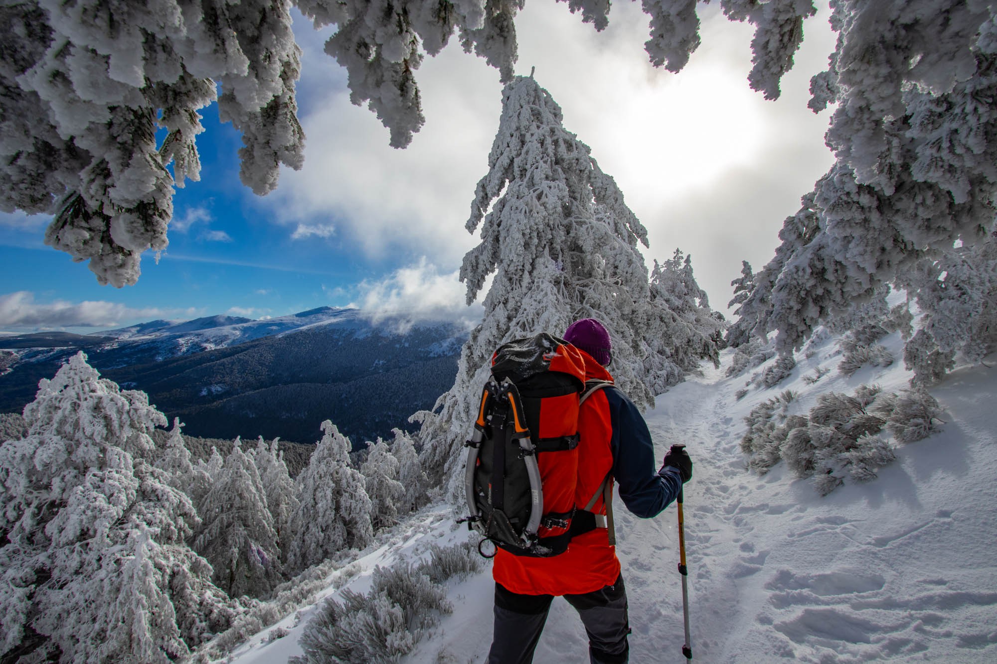 Bosque nevado de camino a la Laguna Grande de Peñalara.