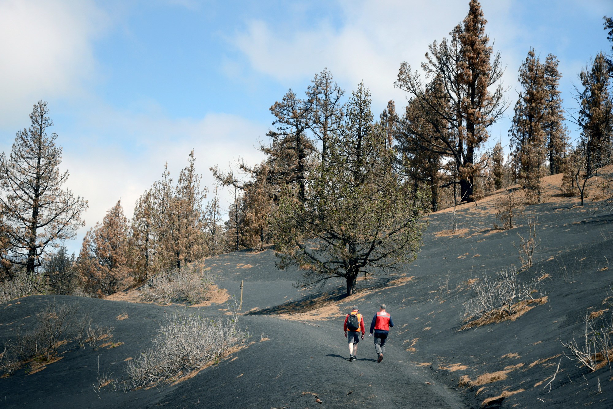 Destinos imprescindibles 2023 La Palma sendero con ceniza