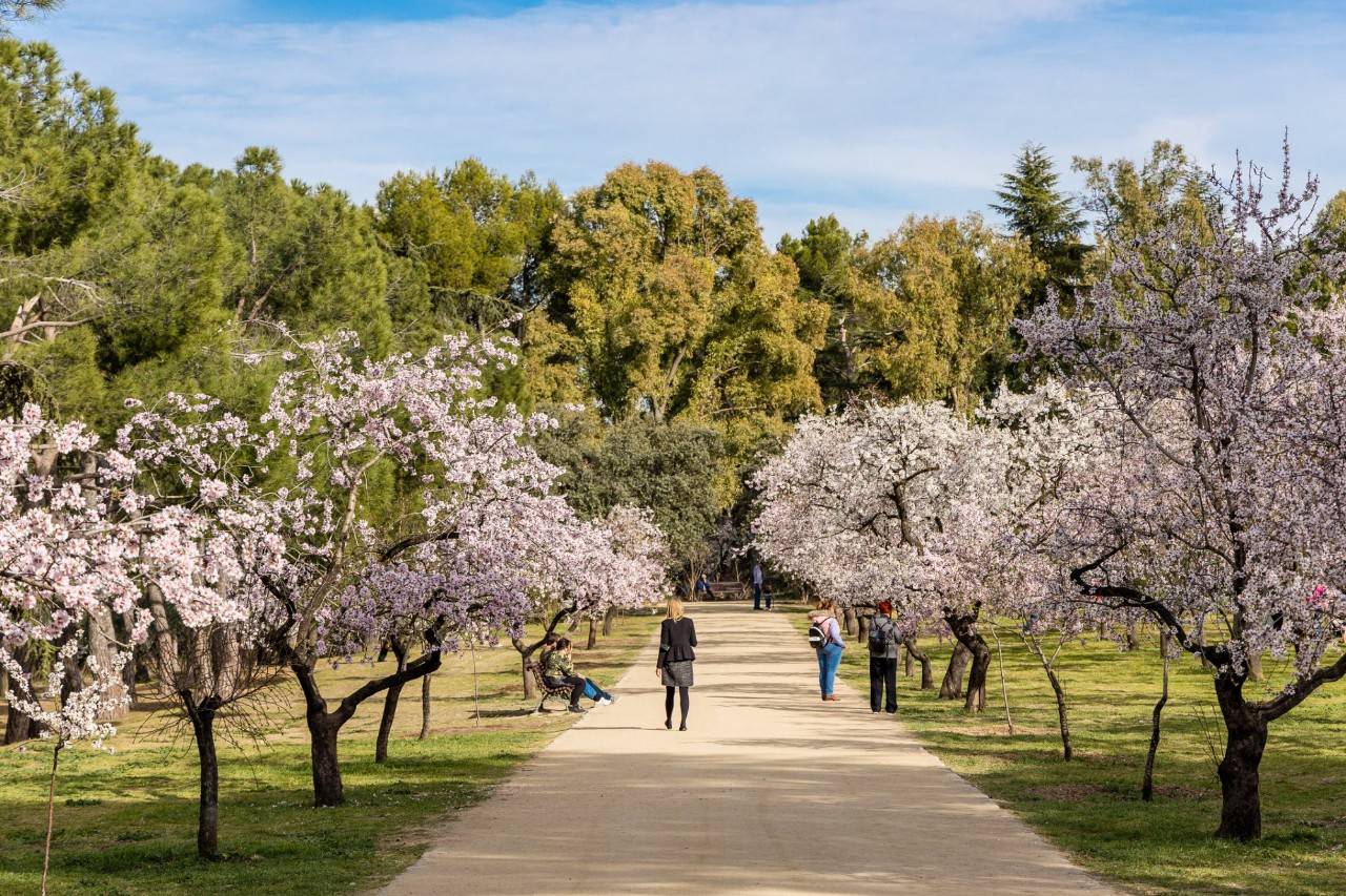 Parque Quinta de los Molinos (Madrid)