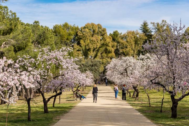 Parque Quinta de los Molinos (Madrid)