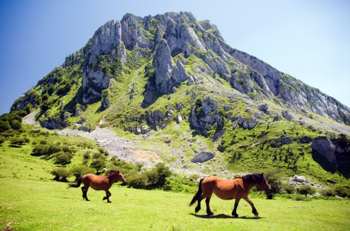 Caballos a los pies de la cima de Gorbeia