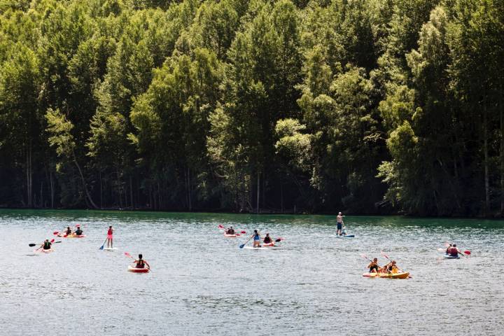 Un baño rodeado de bosques y vegetación.