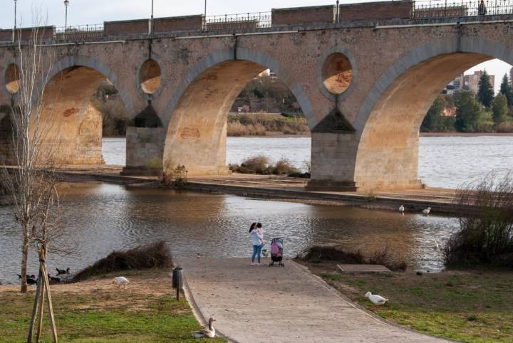 El Guadiana bajo el Puente de Palmas, en Badajoz.