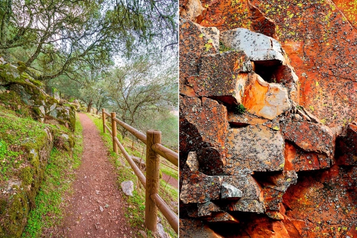 Senderos para perderse y rocas para estudiar colores y texturas. Foto: Shutterstock.