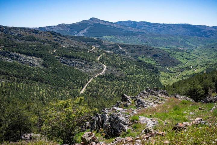 Carretera de La Hiruela.