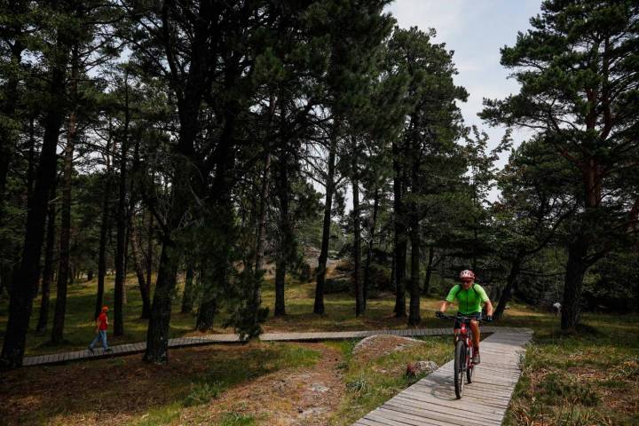 Un hombre paseando en bicicleta por el monte.