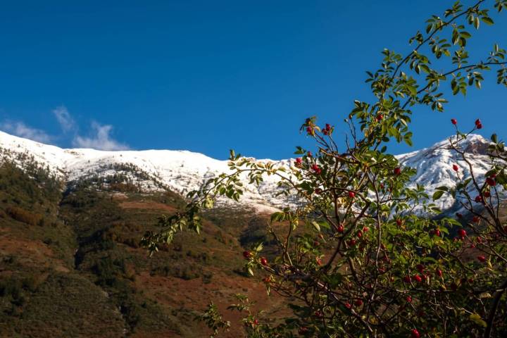 Un vistazo al valle de Guarrinza.