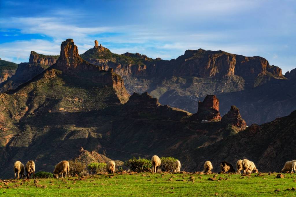 Quesos y sidras en la ‘Galicia’ canaria