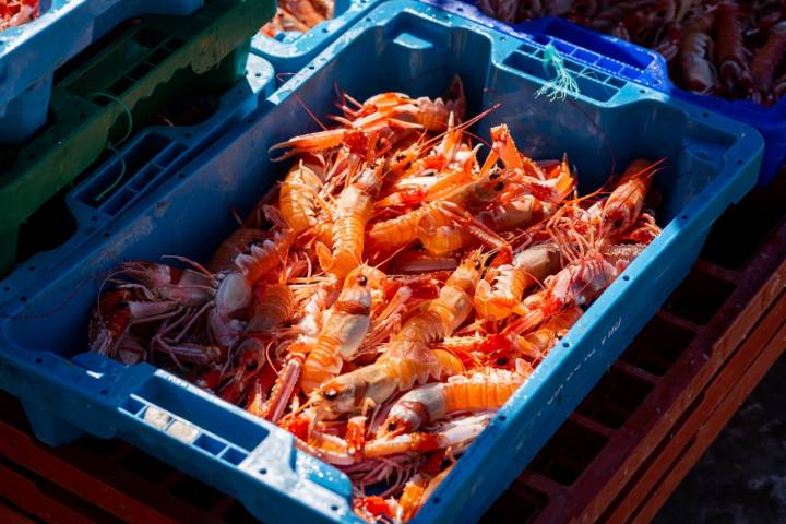 Caja con cigalas en el puerto de Isla Cristina (Huelva)