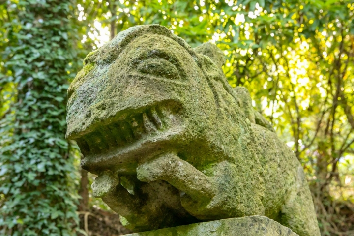 leon terracota fonte baxa