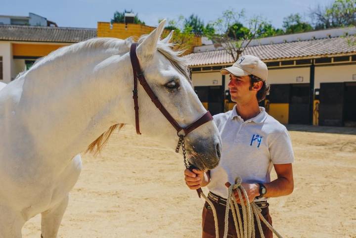 Genéticamente casi perfecto, un ejemplar de la Yeguada de la Cartuja.