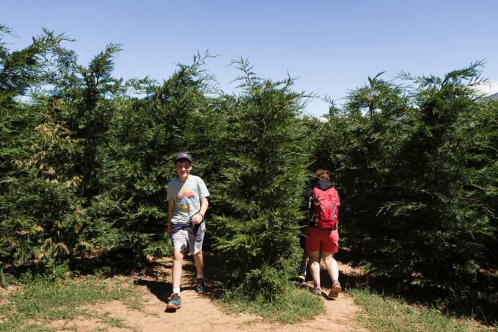 Niños en el laberinto de los Pirineos (Piedrafita de Jaca)