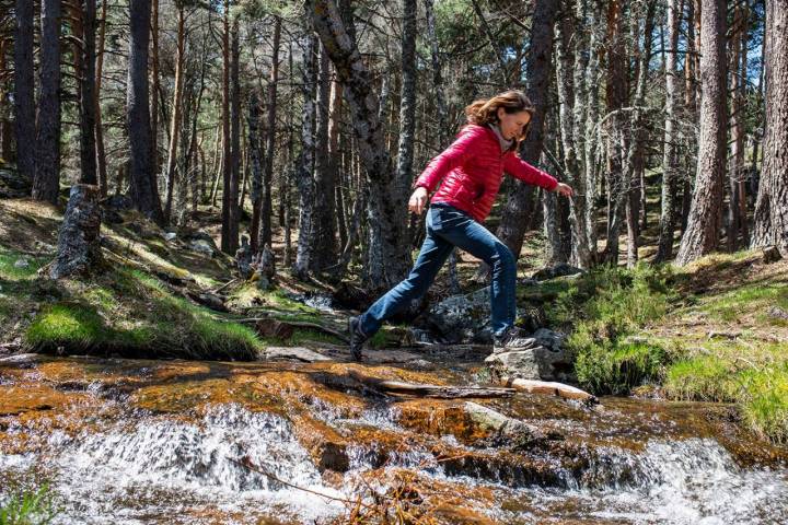 Cascadas de Sierra de Guadarrama: Chorrera de Mojonavalle