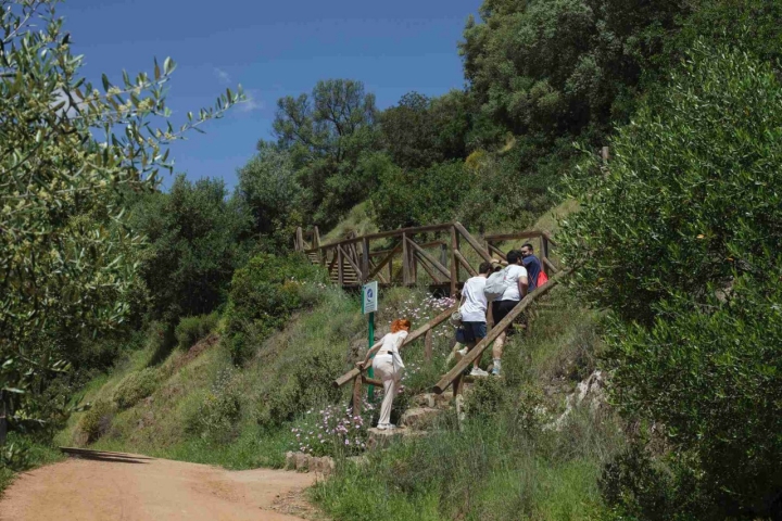 La pasarela de madera es una alternativa más corta para el ascenso hasta el conjunto monumental.